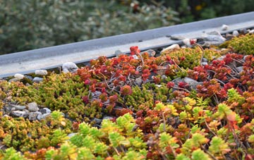 the cost of Barby Nortoft green roof installation