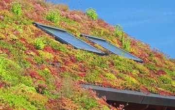 Barby Nortoft living roof systems