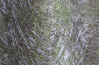 Barby Nortoft fibreglass roof work